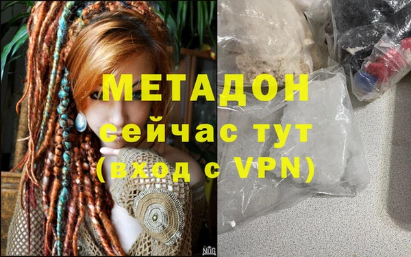 трава Аркадак