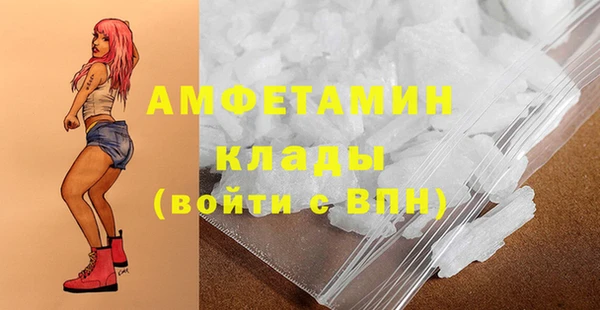 трава Аркадак