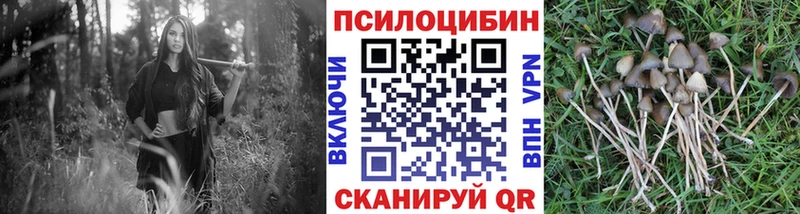 Галлюциногенные грибы мухоморы Байкальск